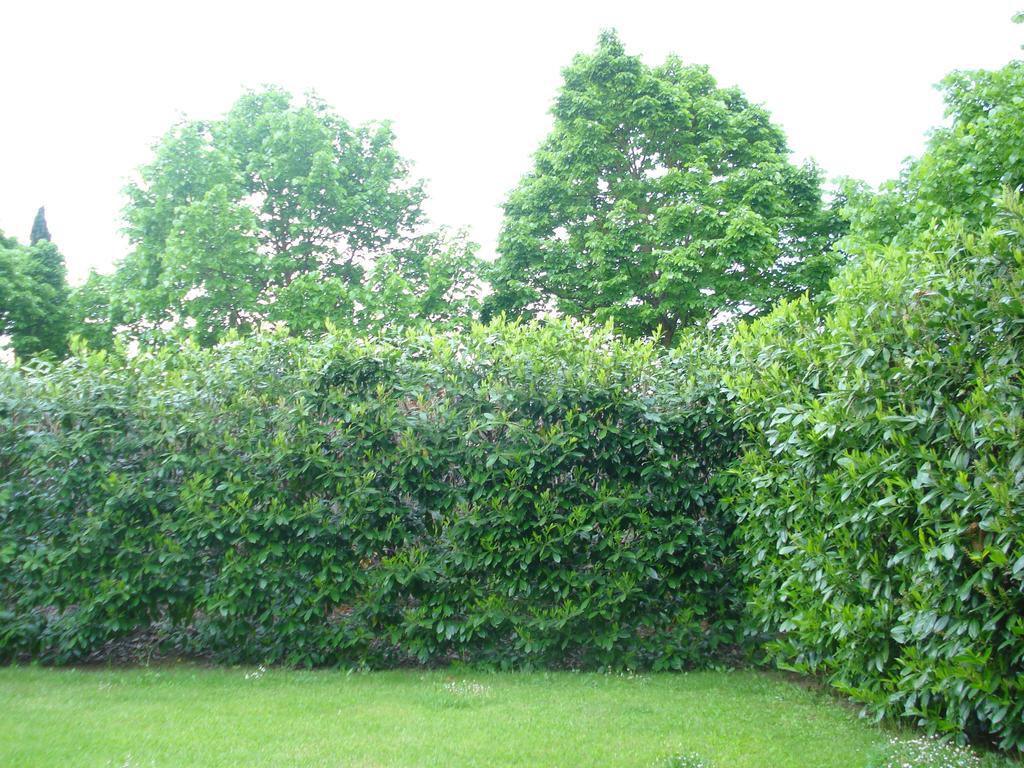 La Vigna Apartment Siena Room photo