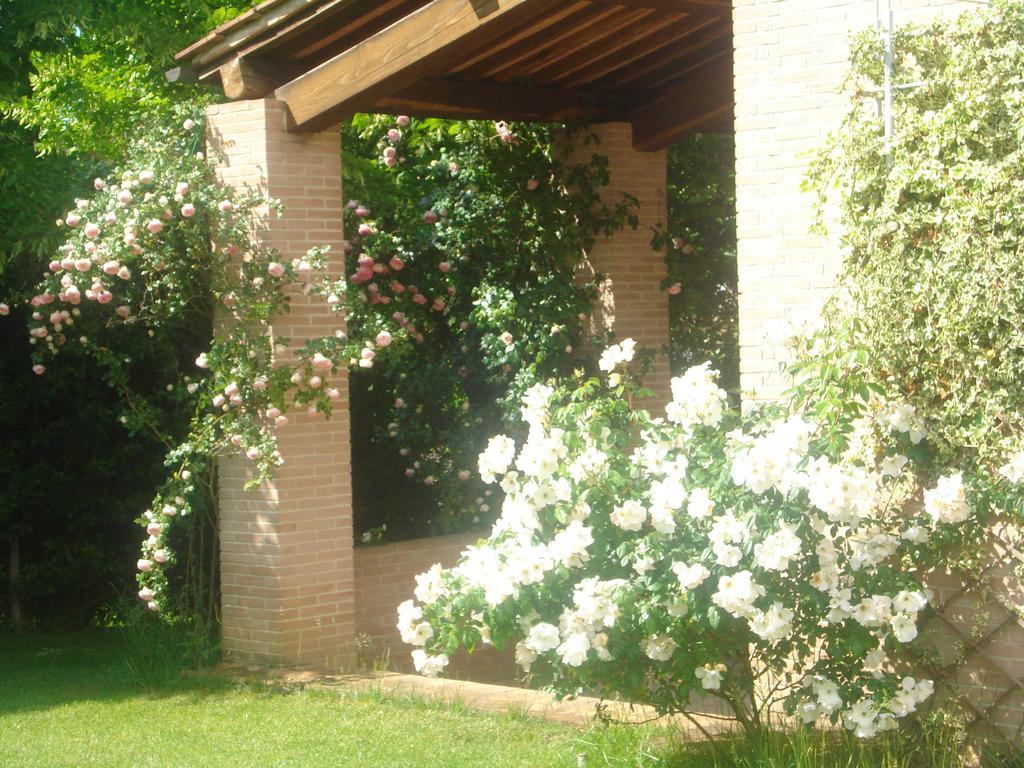 La Vigna Apartment Siena Exterior photo